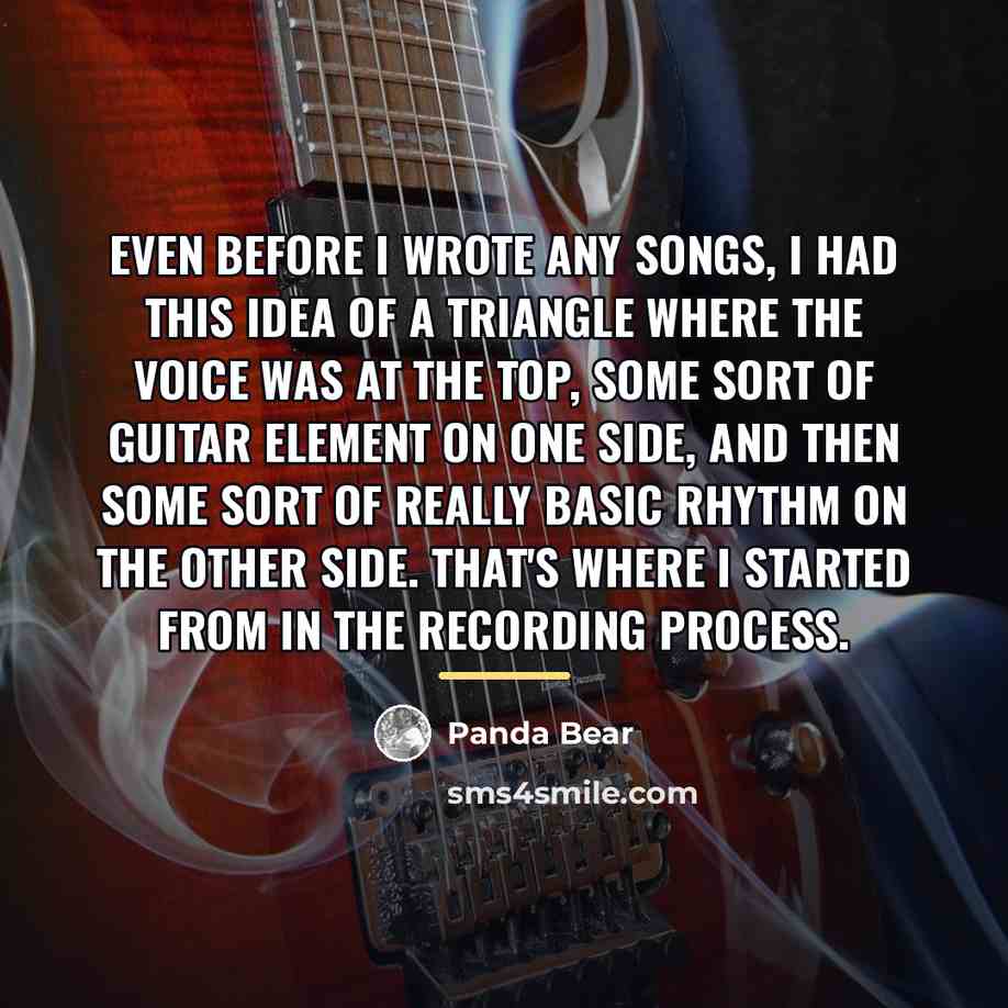 “Even before I wrote any songs, I had this idea…” quote by Panda Bear
