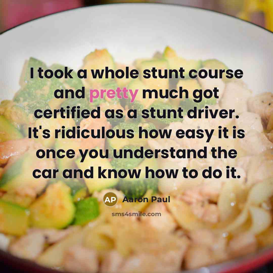 “I took a whole stunt course and pretty much got…” quote by Aaron Paul