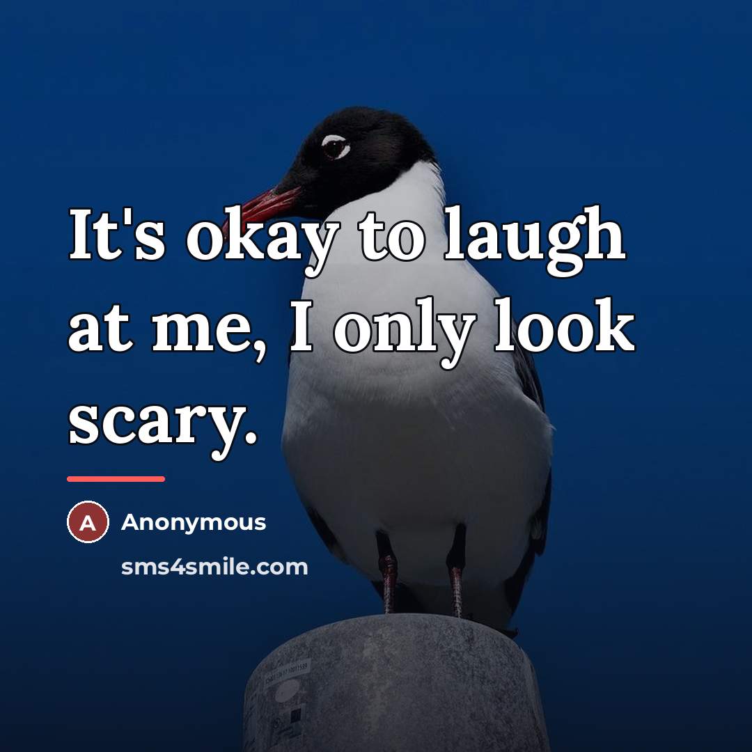 “It's okay to laugh at me, I only look scary.…” quote by Anonymous