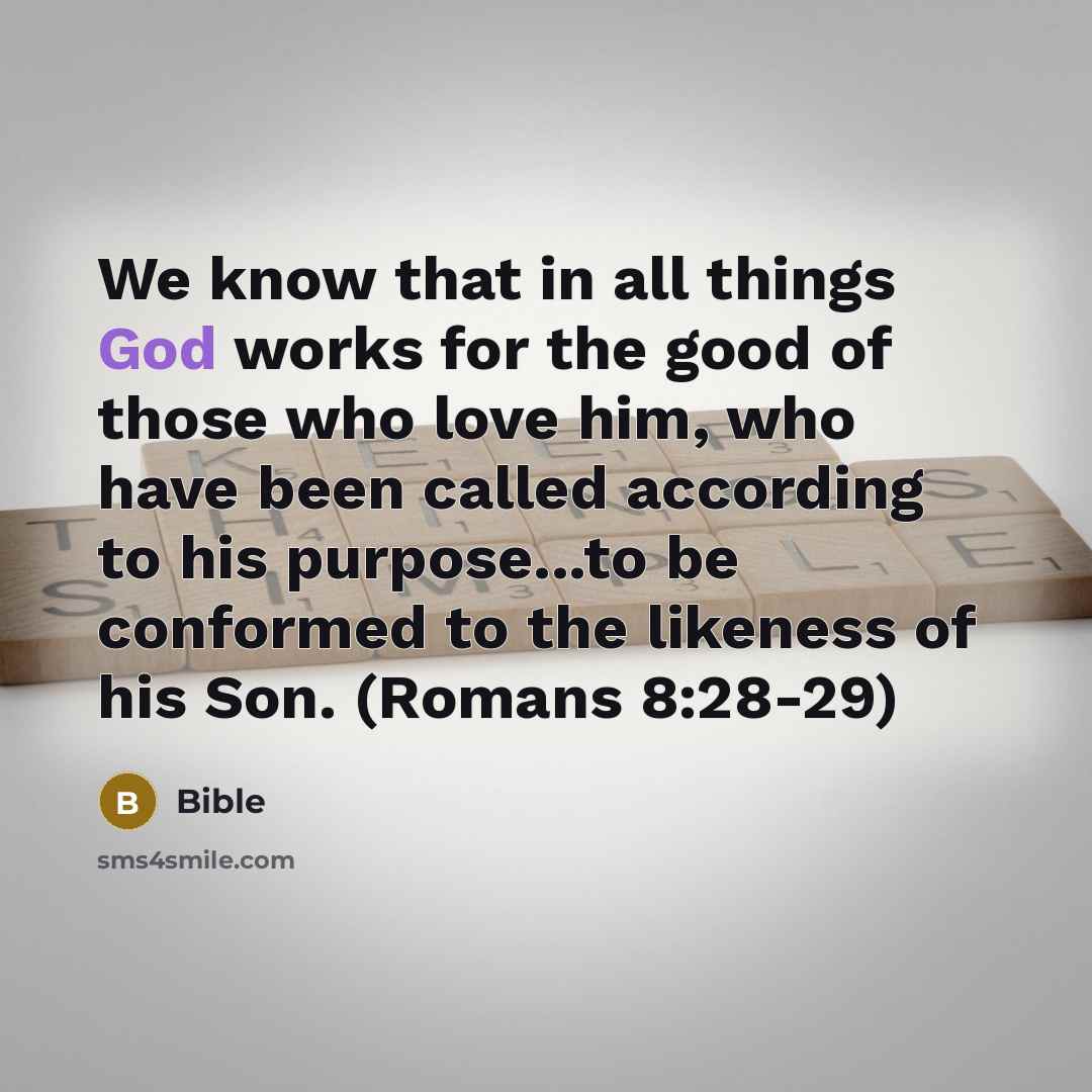 “We know that in all things God works for the…” quote by Bible
