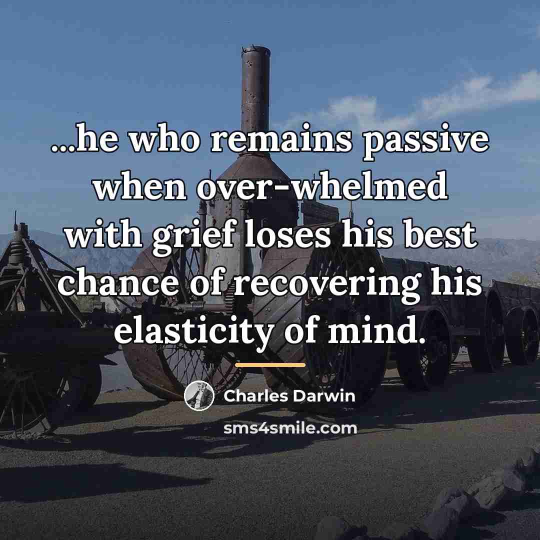 “...he who remains passive when over-whelmed with grief loses his…” quote by Charles Darwin