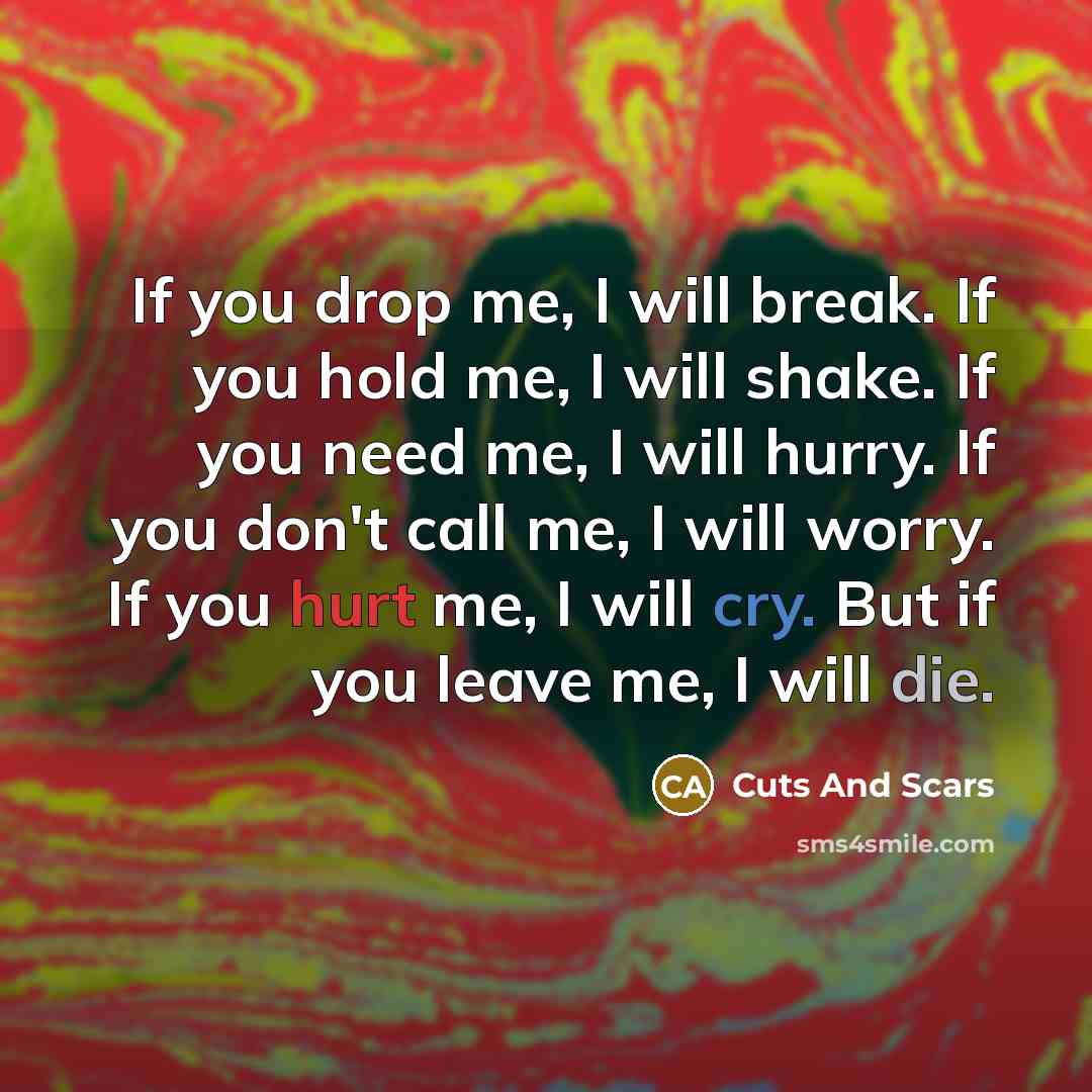 “If you drop me, I will break. If you hold…” quote by Cuts And Scars
