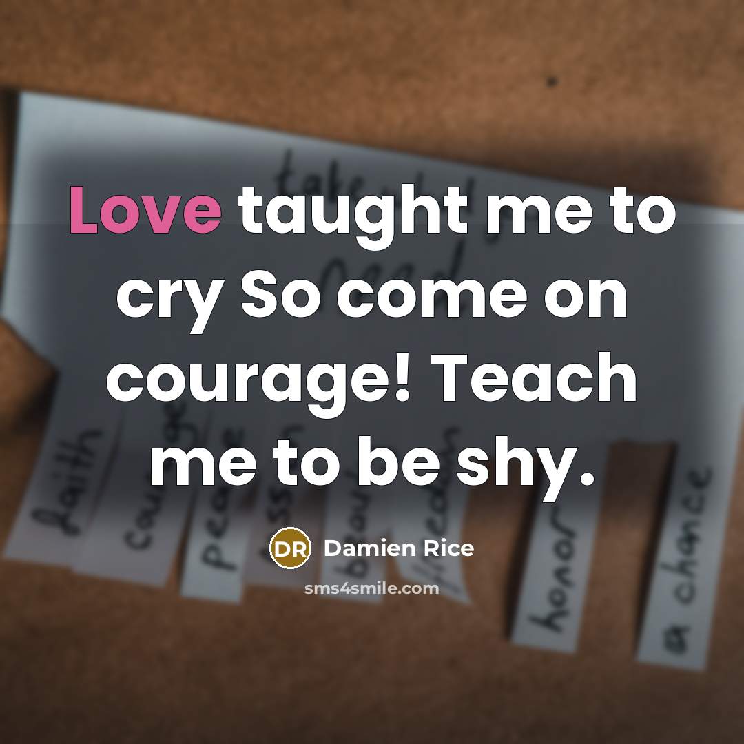 “Love taught me to cry So come on courage! Teach…” quote by Damien Rice