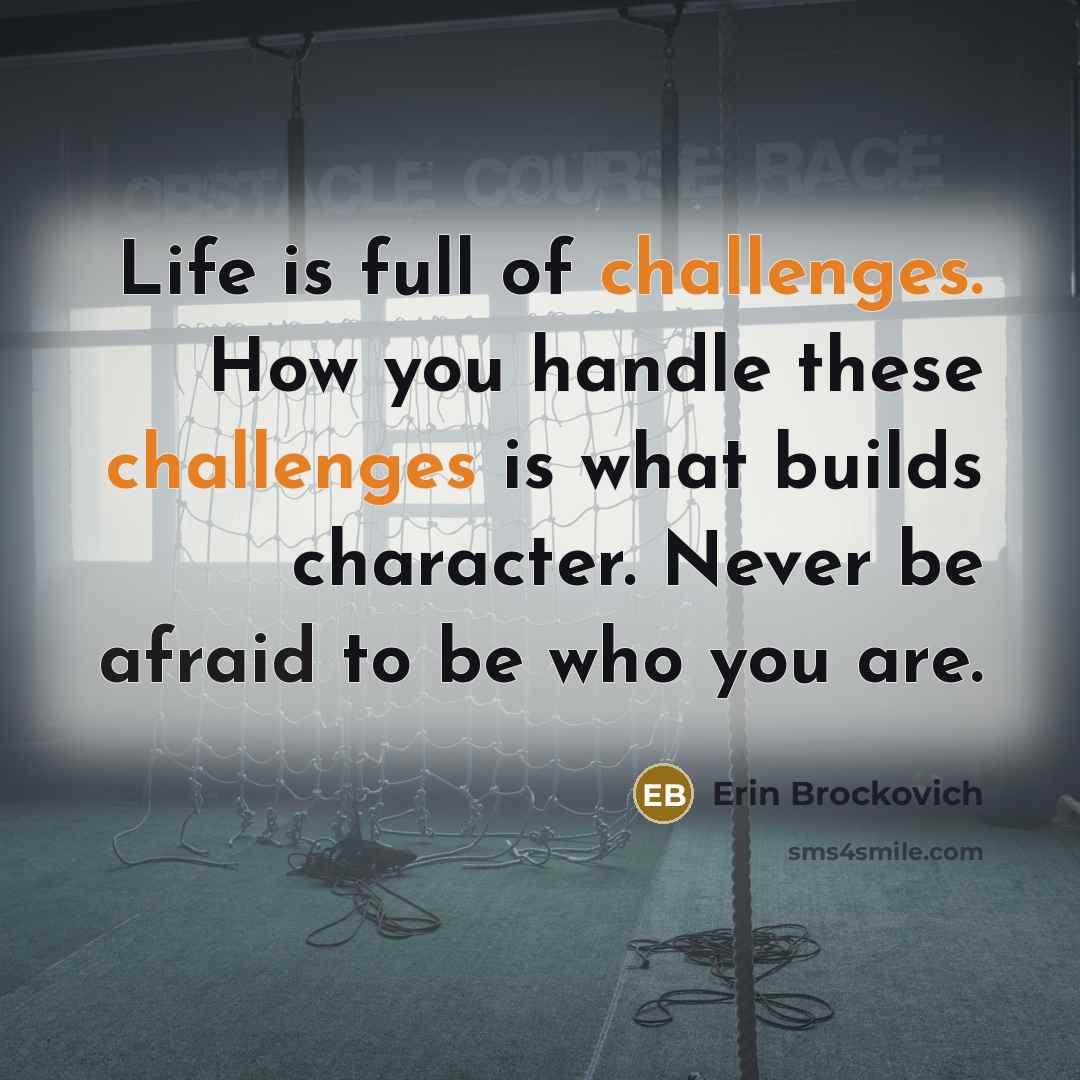 “Life is full of challenges. How you handle these challenges…” quote by Erin Brockovich