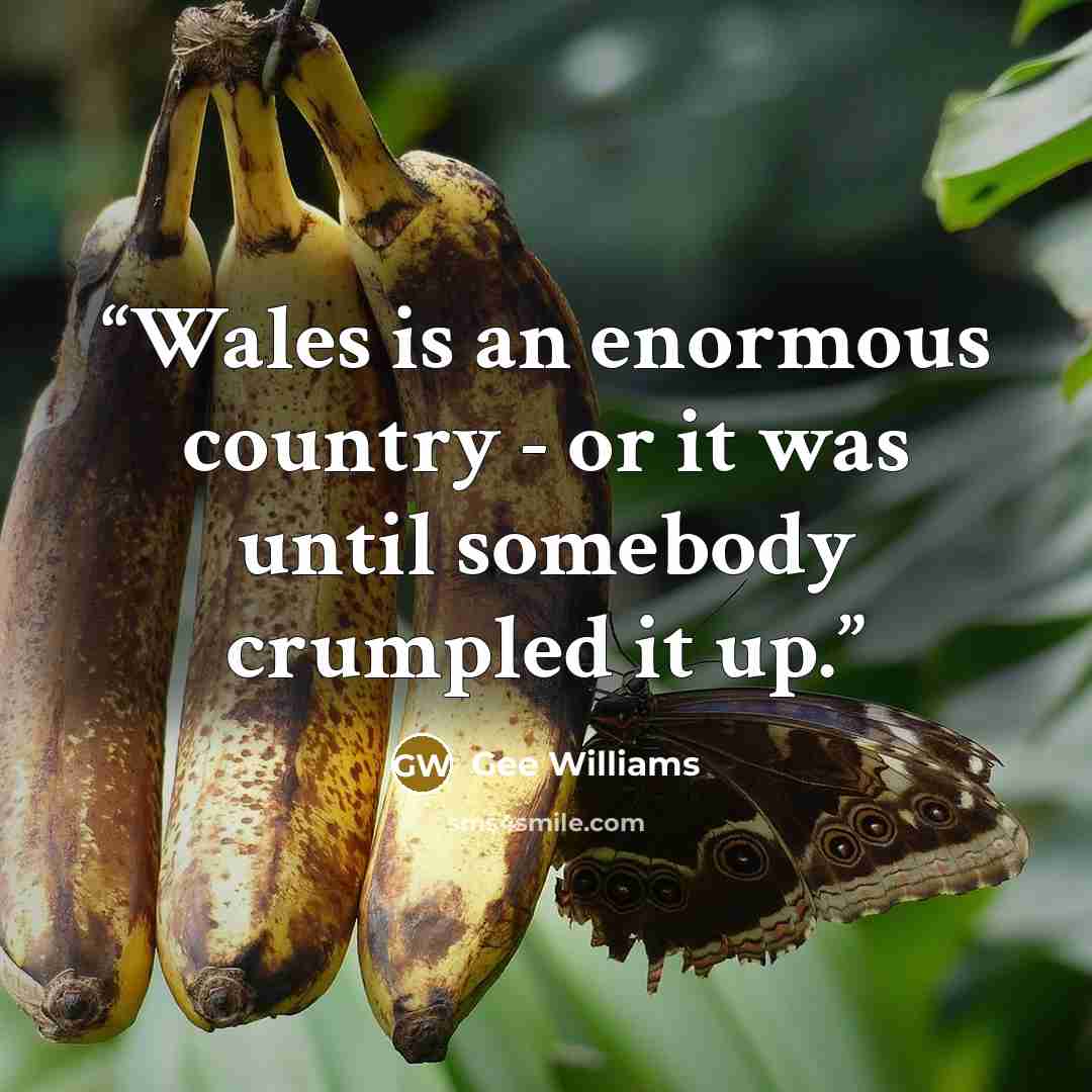 “Wales is an enormous country - or it was until somebody crumpled it up.” quote by Gee Williams