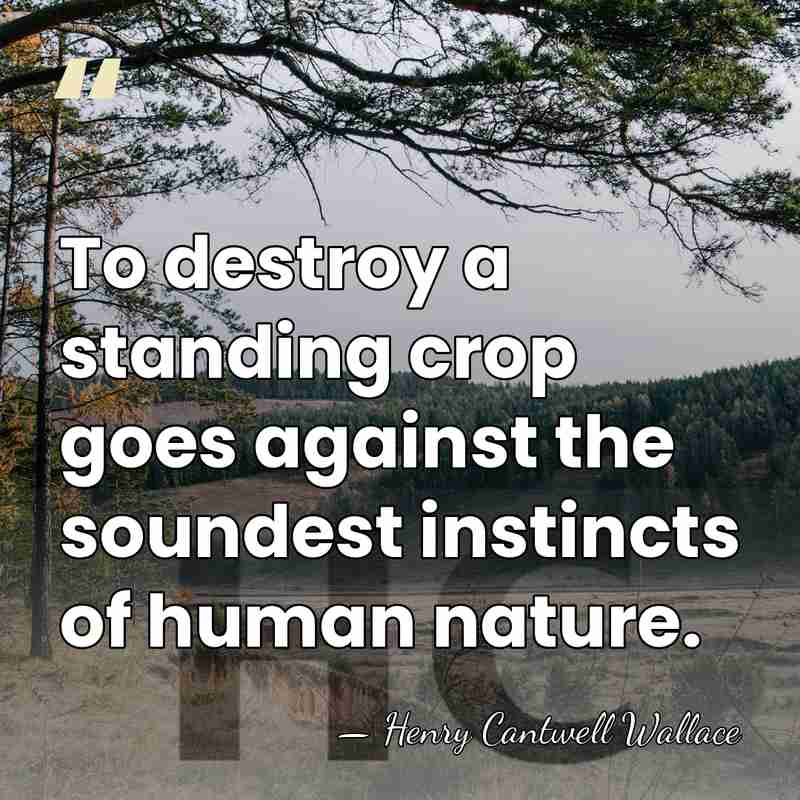 To destroy a standing crop goes against the soundest instincts of human&hellip; - Henry Cantwell Wallace