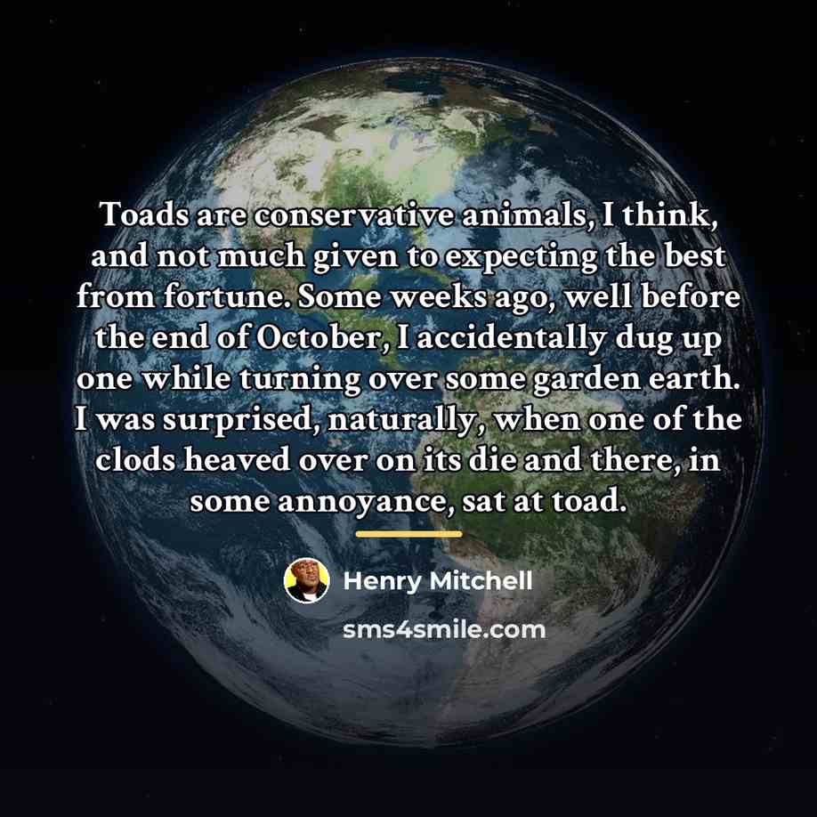 “Toads are conservative animals, I think, and not much given…” quote by Henry Mitchell