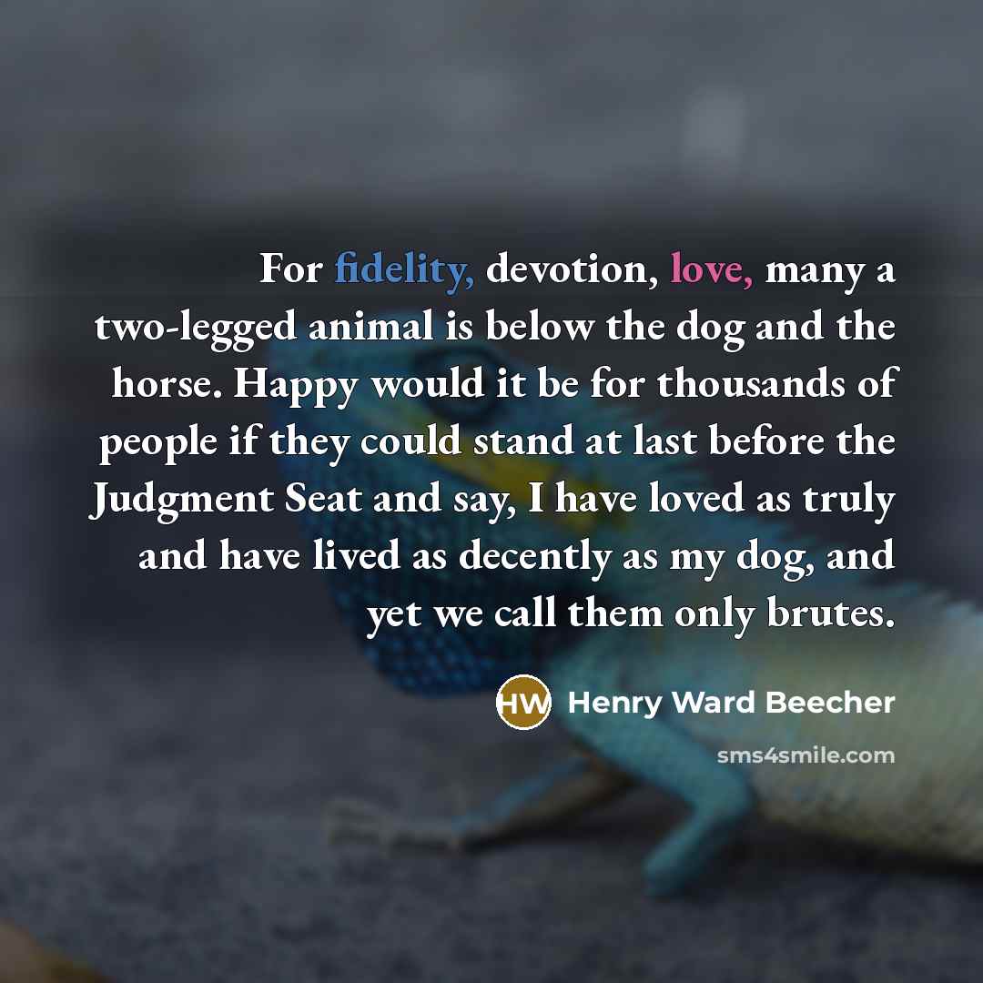 “For fidelity, devotion, love, many a two-legged animal is below…” quote by Henry Ward Beecher