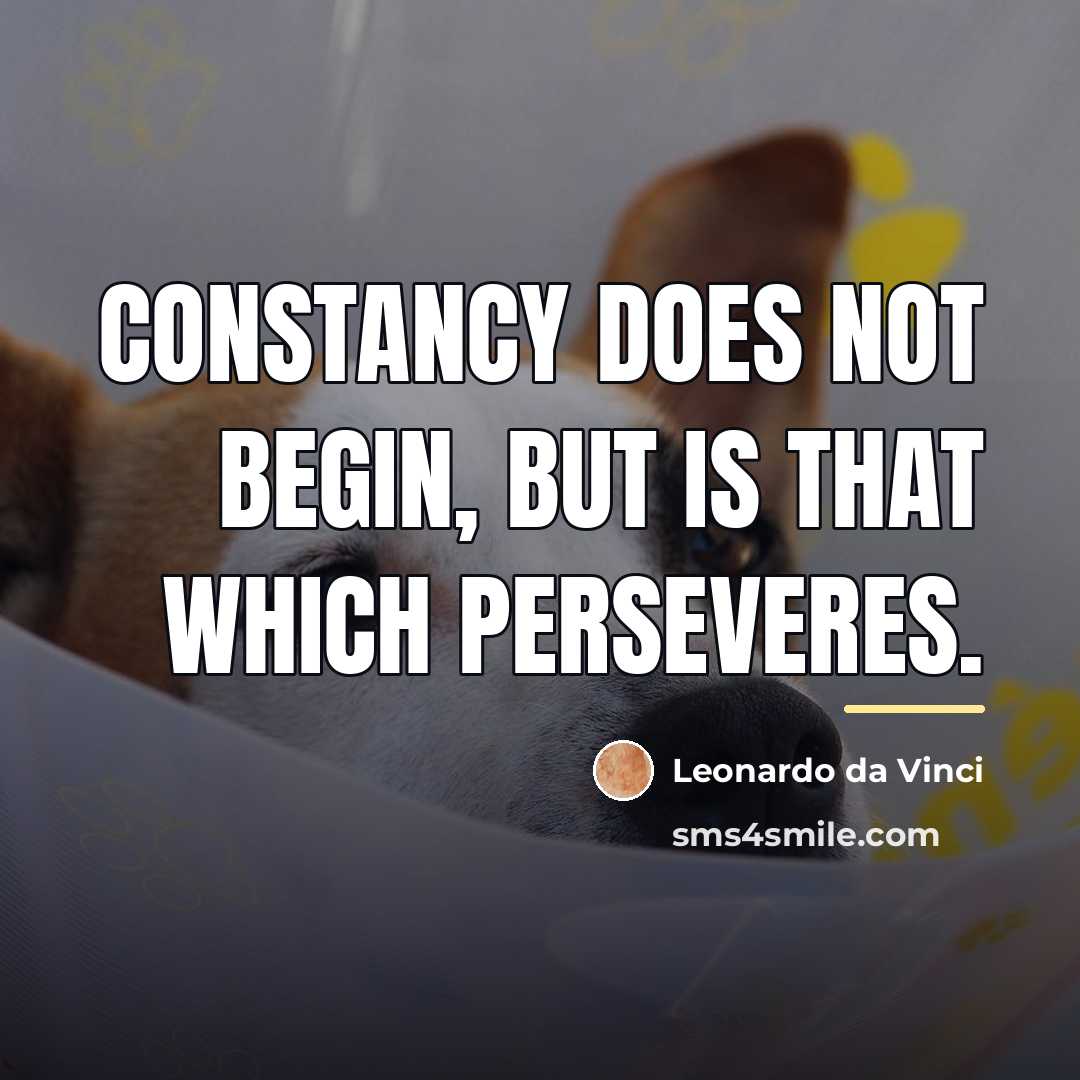 “Constancy does not begin, but is that which perseveres.…” quote by Leonardo da Vinci