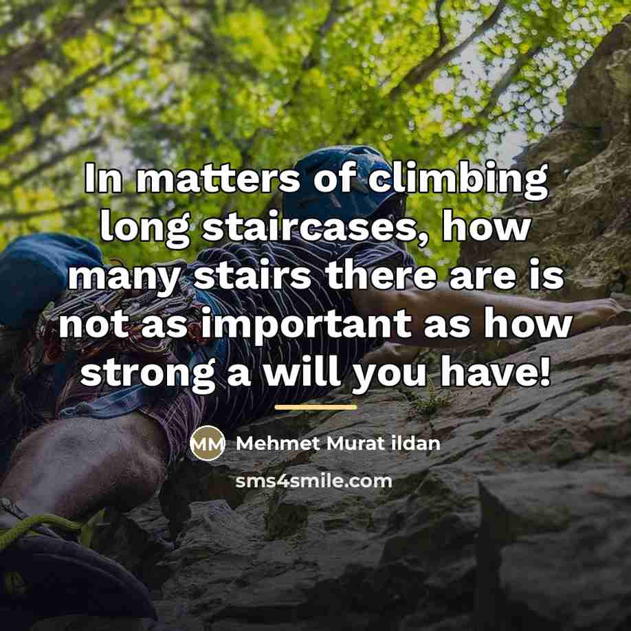 “In matters of climbing long staircases, how many stairs there…” quote by Mehmet Murat Ildan