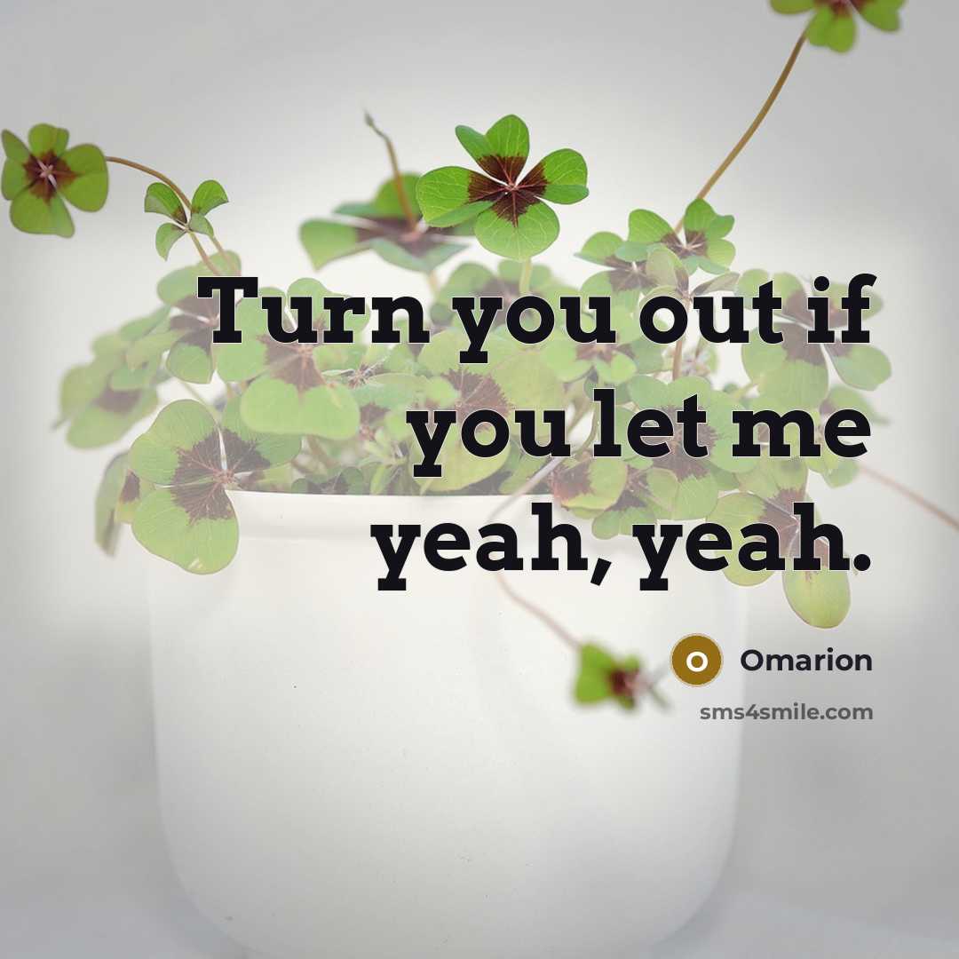 “Turn you out if you let me yeah, yeah.” quote by Omarion