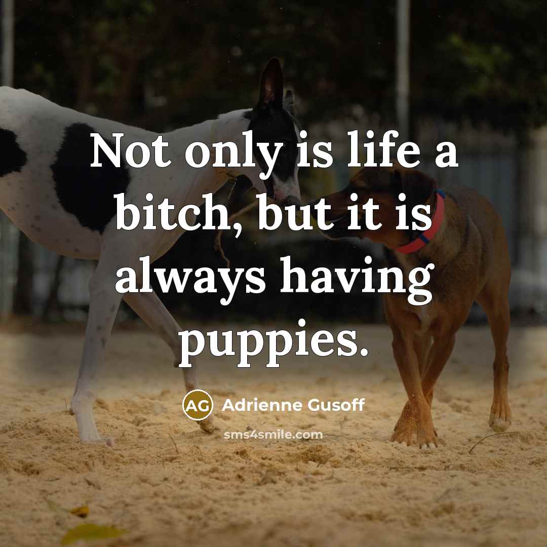 “Not only is life a bitch, but it is always…” quote by Adrienne Gusoff