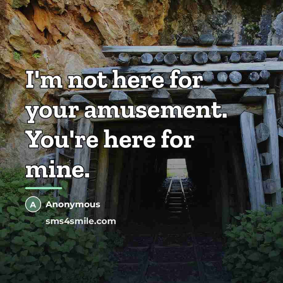 “I'm not here for your amusement. You're here for mine.…” quote by Anonymous