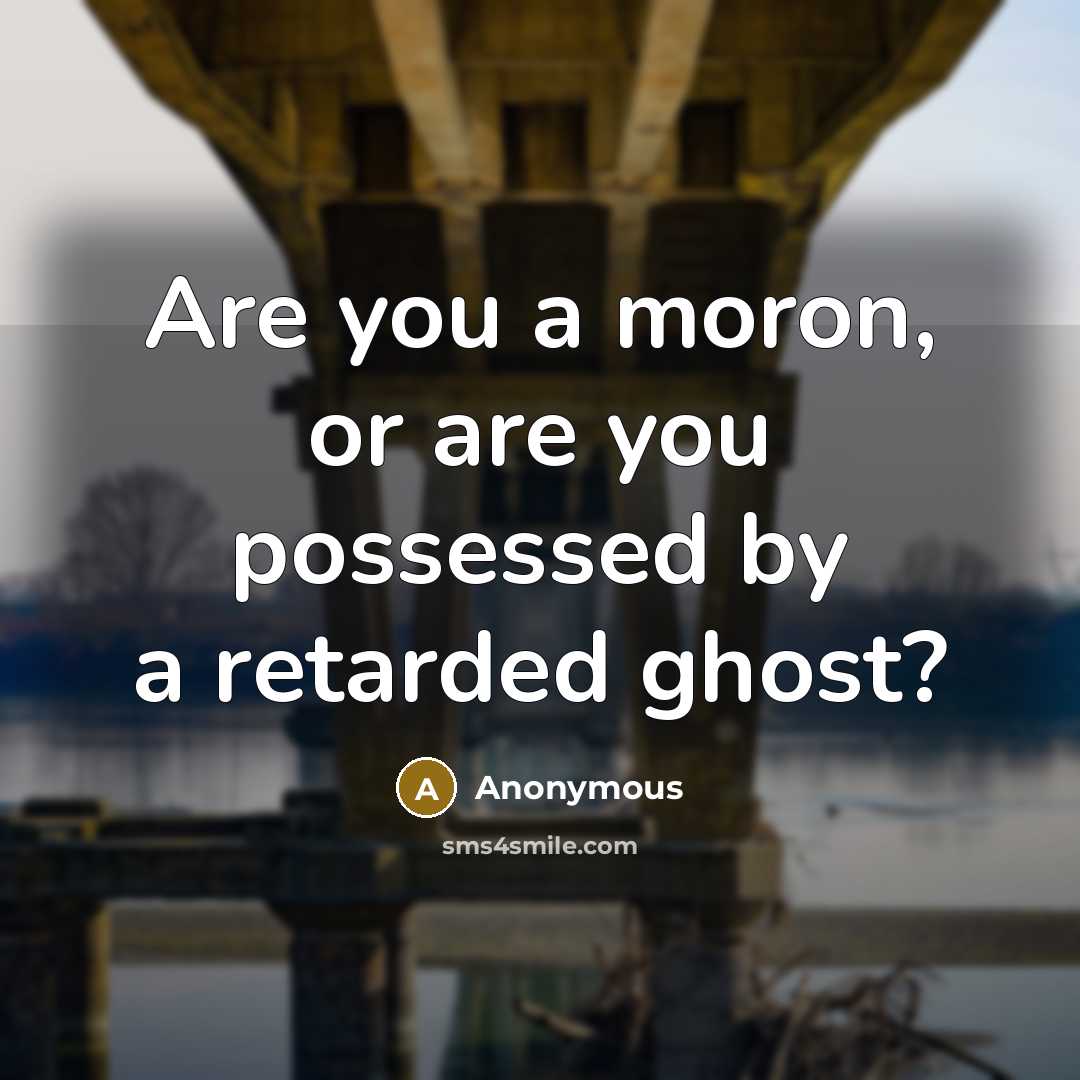“Are you a moron, or are you possessed by a…” quote by Anonymous