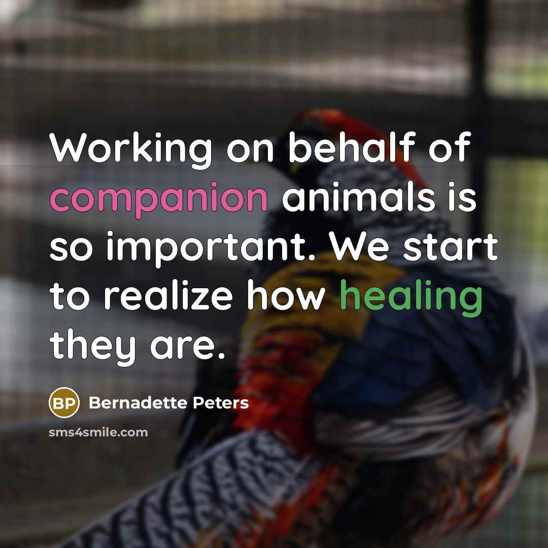 “Working on behalf of companion animals is so important. We…” quote by Bernadette Peters