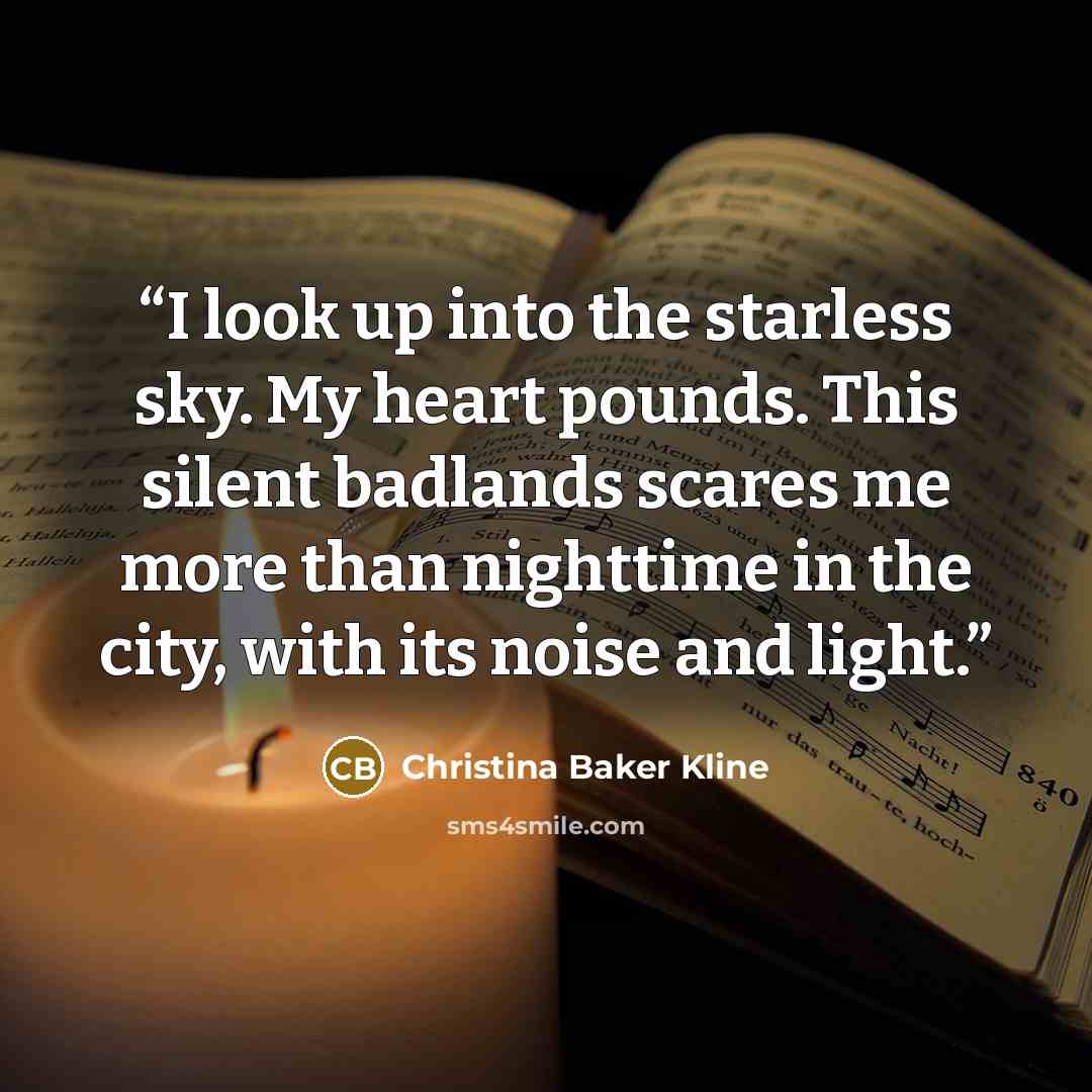 “I look up into the starless sky. My heart pounds. This silent badlands scares me more than nighttime in the city, with its noise and light.” quote by Christina Baker Kline