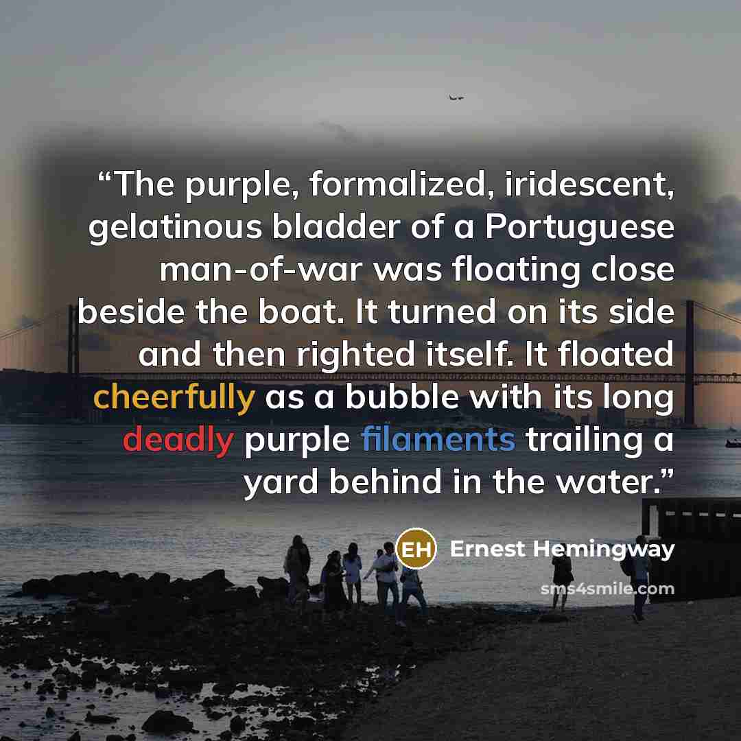 “The purple, formalized, iridescent, gelatinous bladder of a Portuguese man-of-war was floating close beside the boat. It turned on its side and then righted itself. It floated cheerfully as a bubble with its long deadly purple filaments trailing a yard behind in the water.” quote by Ernest Hemingway