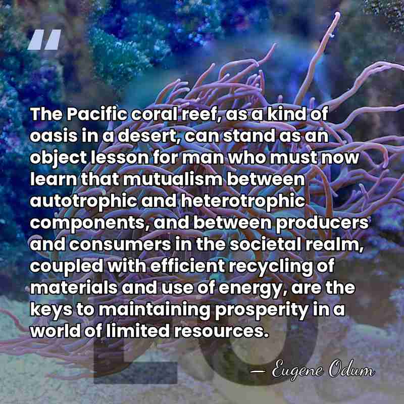 The Pacific coral reef, as a kind of oasis in a desert,&hellip; - Eugene Odum
