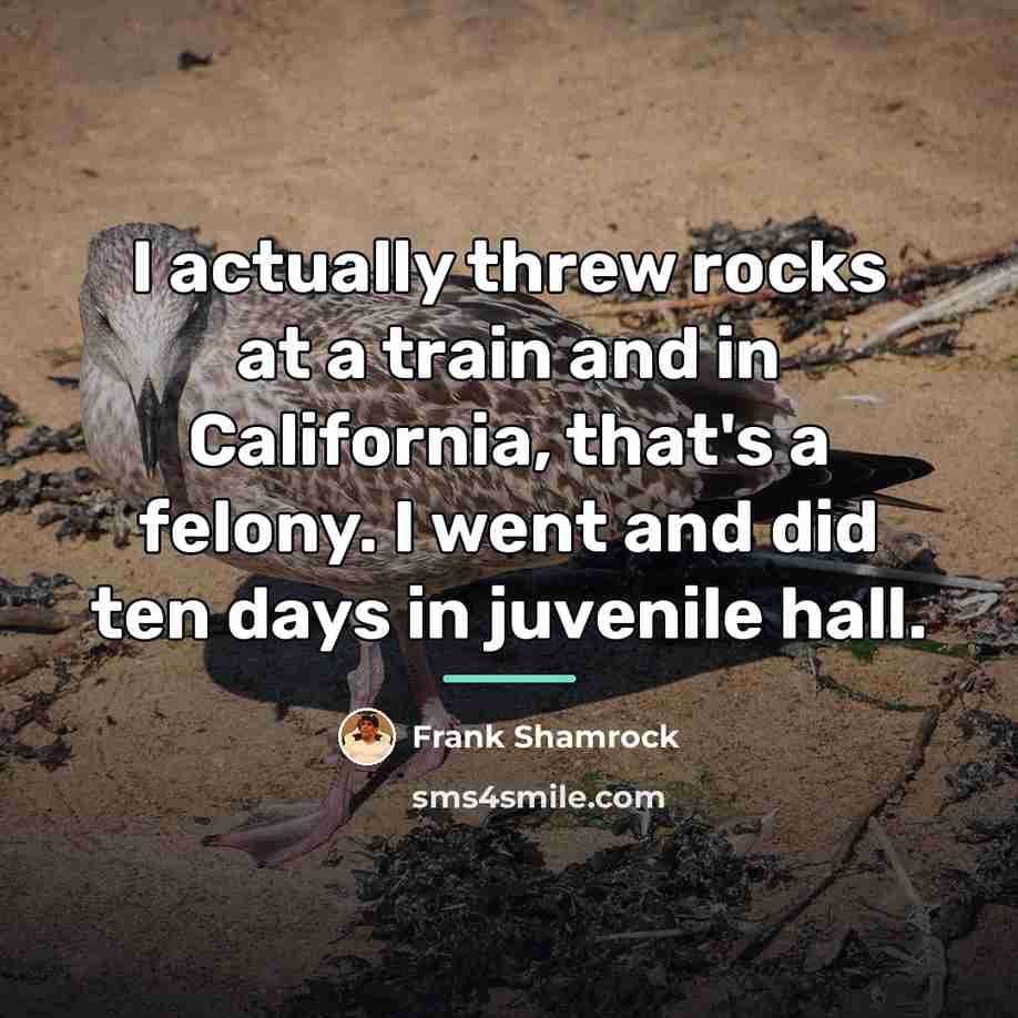 “I actually threw rocks at a train and in California,…” quote by Frank Shamrock