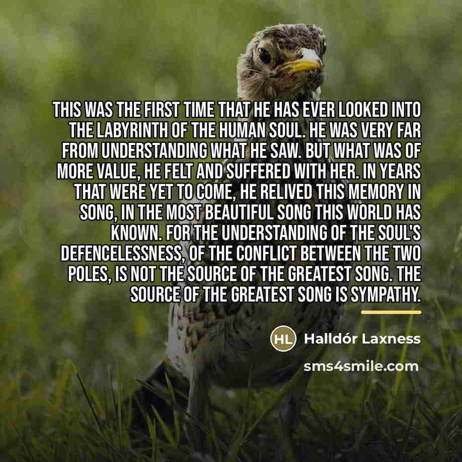 “This was the first time that he has ever looked…” quote by Halldór Laxness