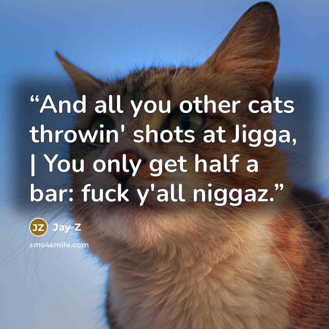 “And all you other cats throwin' shots at Jigga, | You only get half a bar: fuck y'all niggaz.” quote by Jay-Z