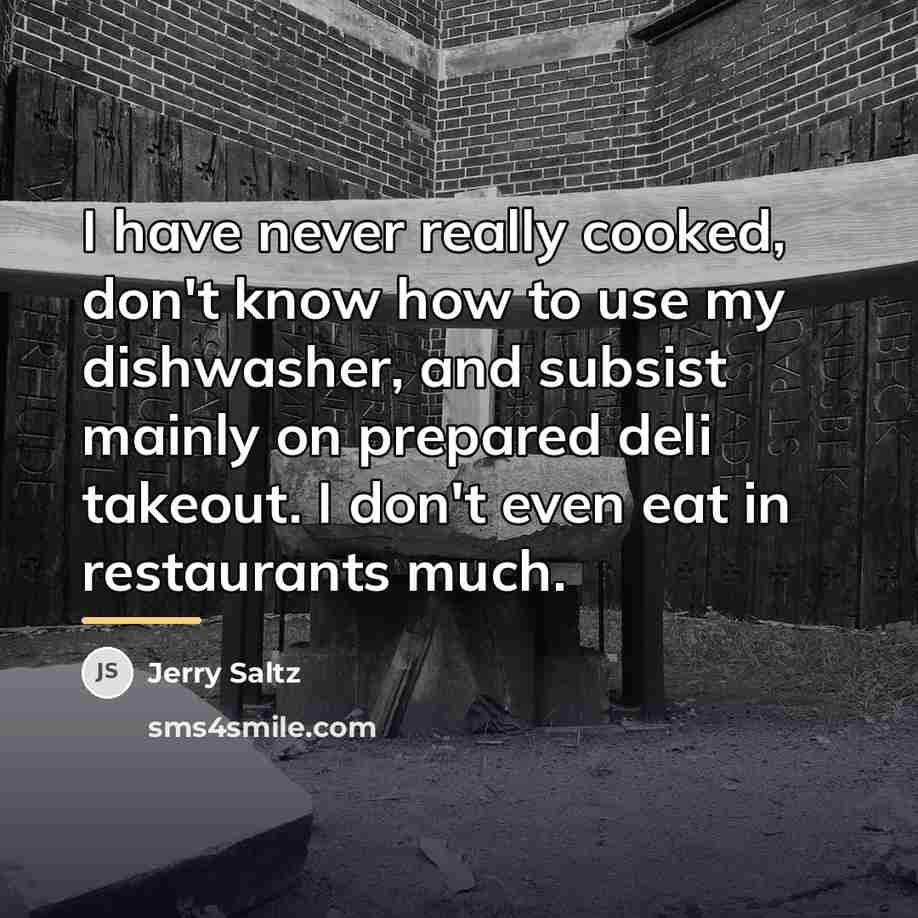 “I have never really cooked, don't know how to use…” quote by Jerry Saltz