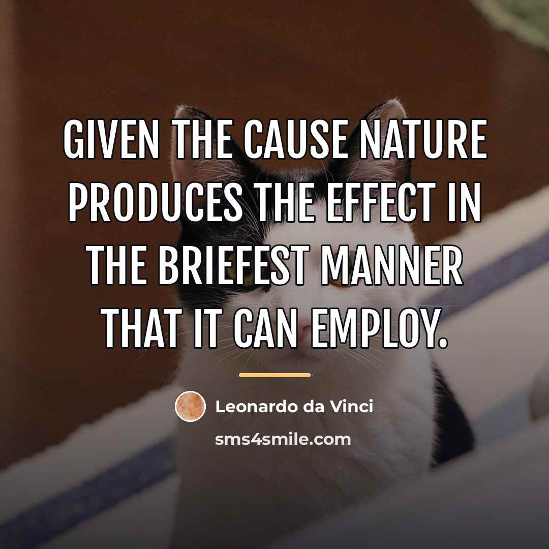 “Given the cause nature produces the effect in the briefest…” quote by Leonardo da Vinci