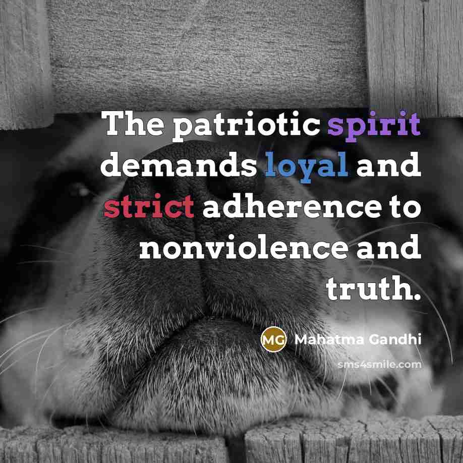 “The patriotic spirit demands loyal and strict adherence to nonviolence…” quote by Mahatma Gandhi