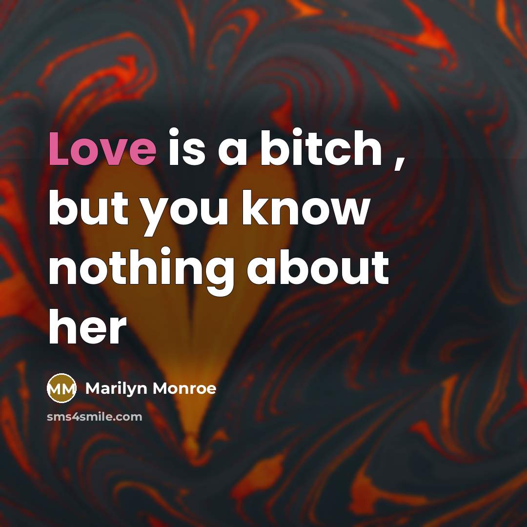 “Love is a bitch , but you know nothing about her” quote by Marilyn Monroe