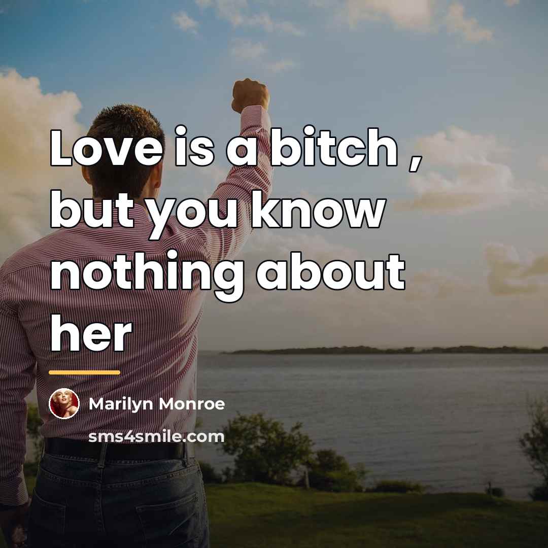 “Love is a bitch , but you know nothing about…” quote by Marilyn Monroe