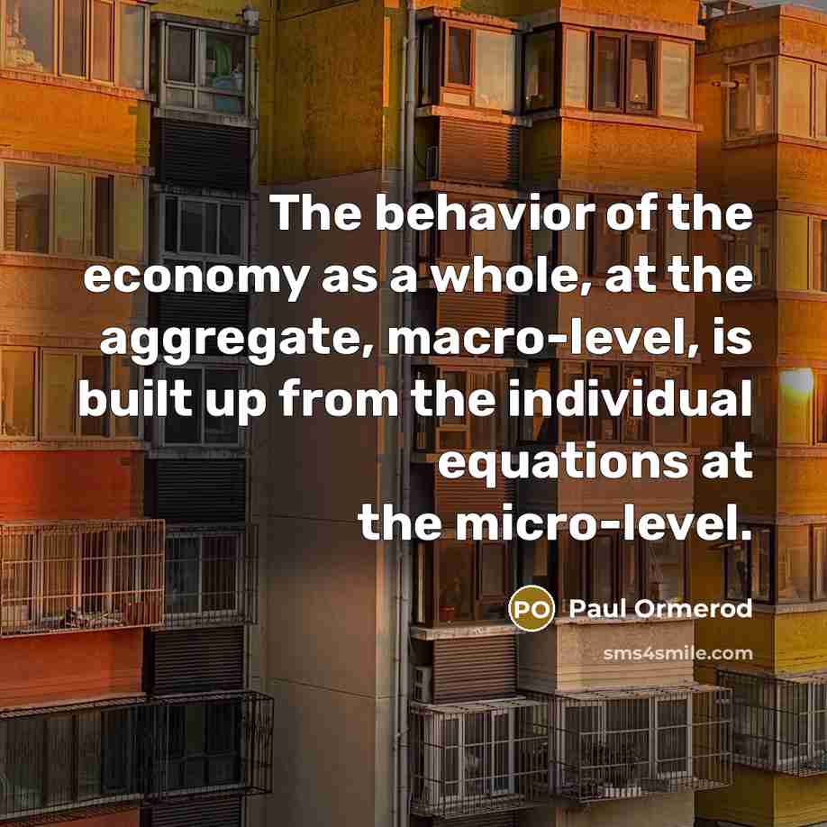 “The behavior of the economy as a whole, at the…” quote by Paul Ormerod