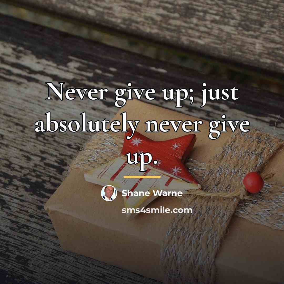 “Never give up; just absolutely never give up.…” quote by Shane Warne