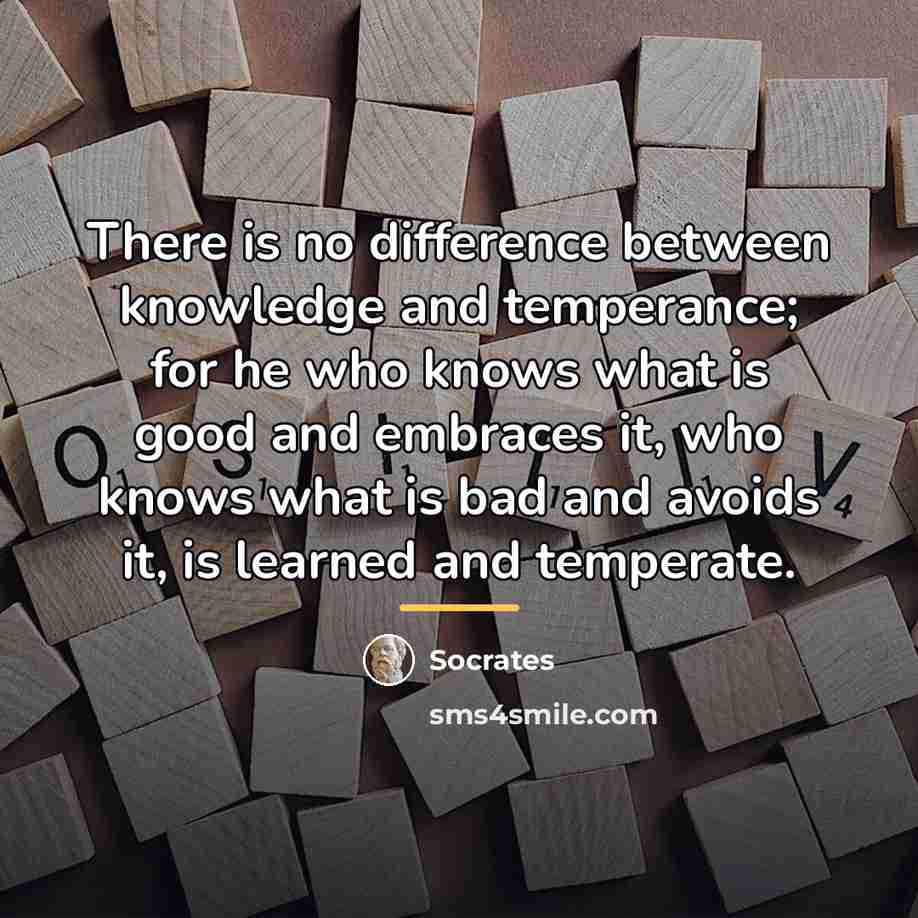 “There is no difference between knowledge and temperance; for he…” quote by Socrates