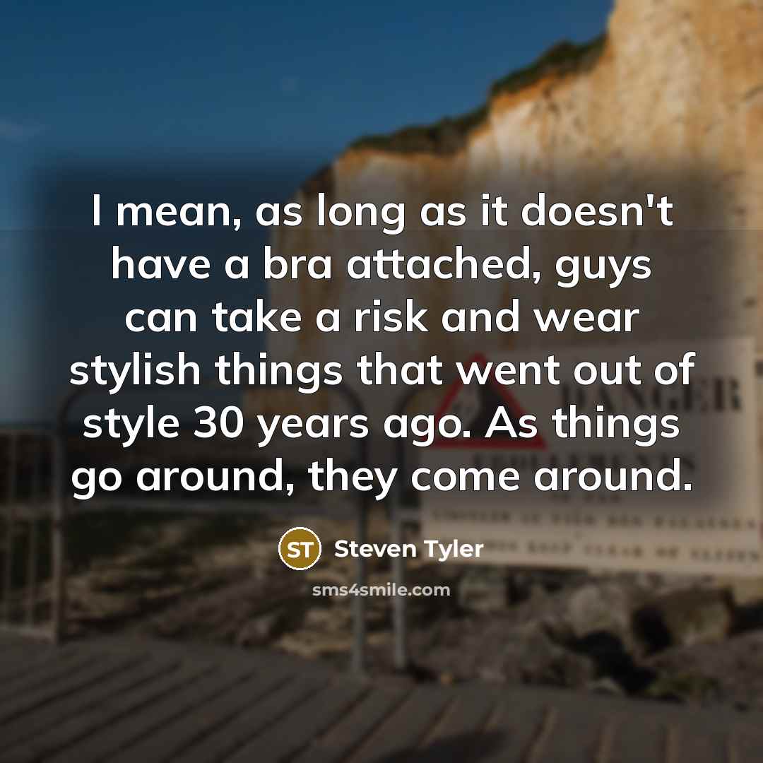 “I mean, as long as it doesn't have a bra…” quote by Steven Tyler