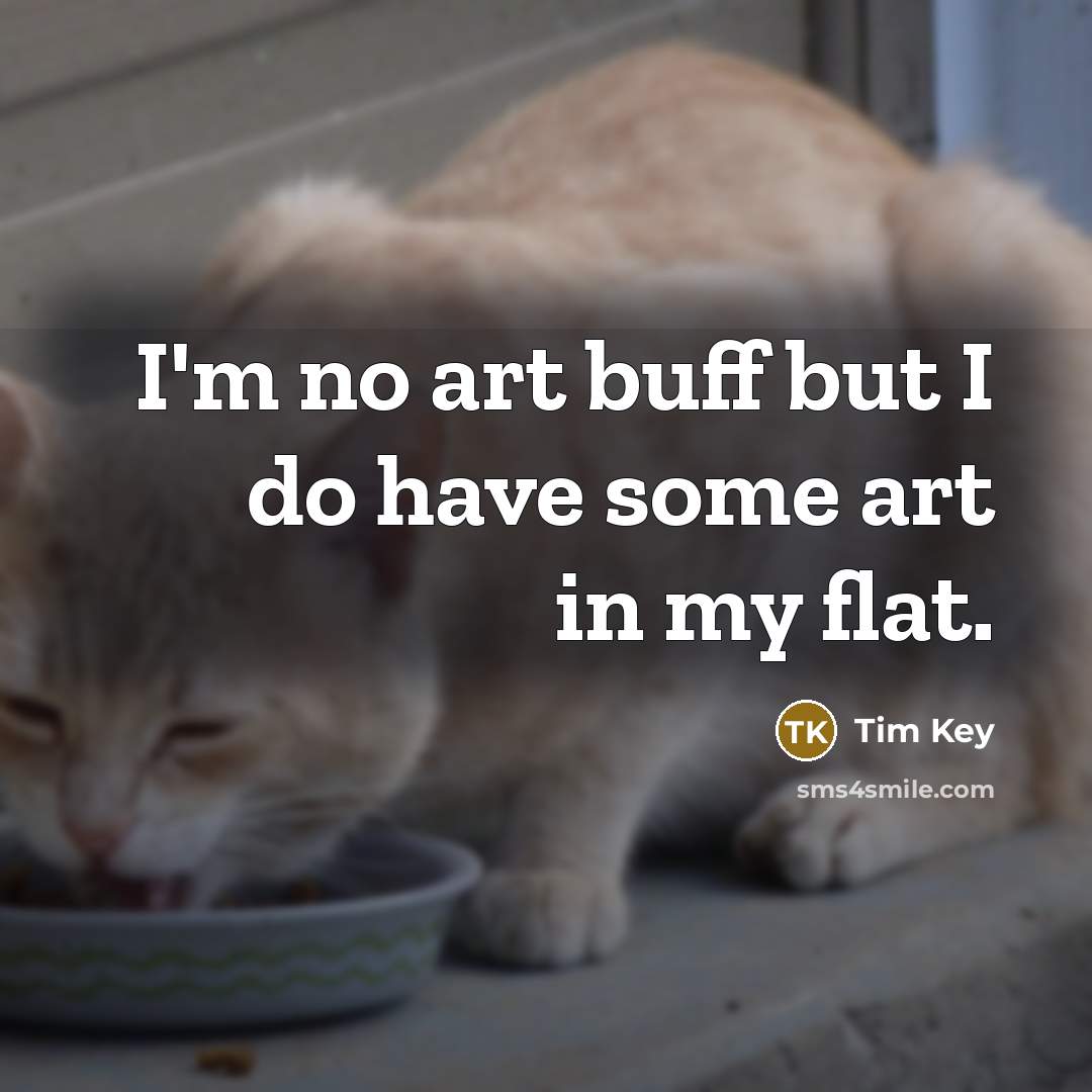 “I'm no art buff but I do have some art…” quote by Tim Key