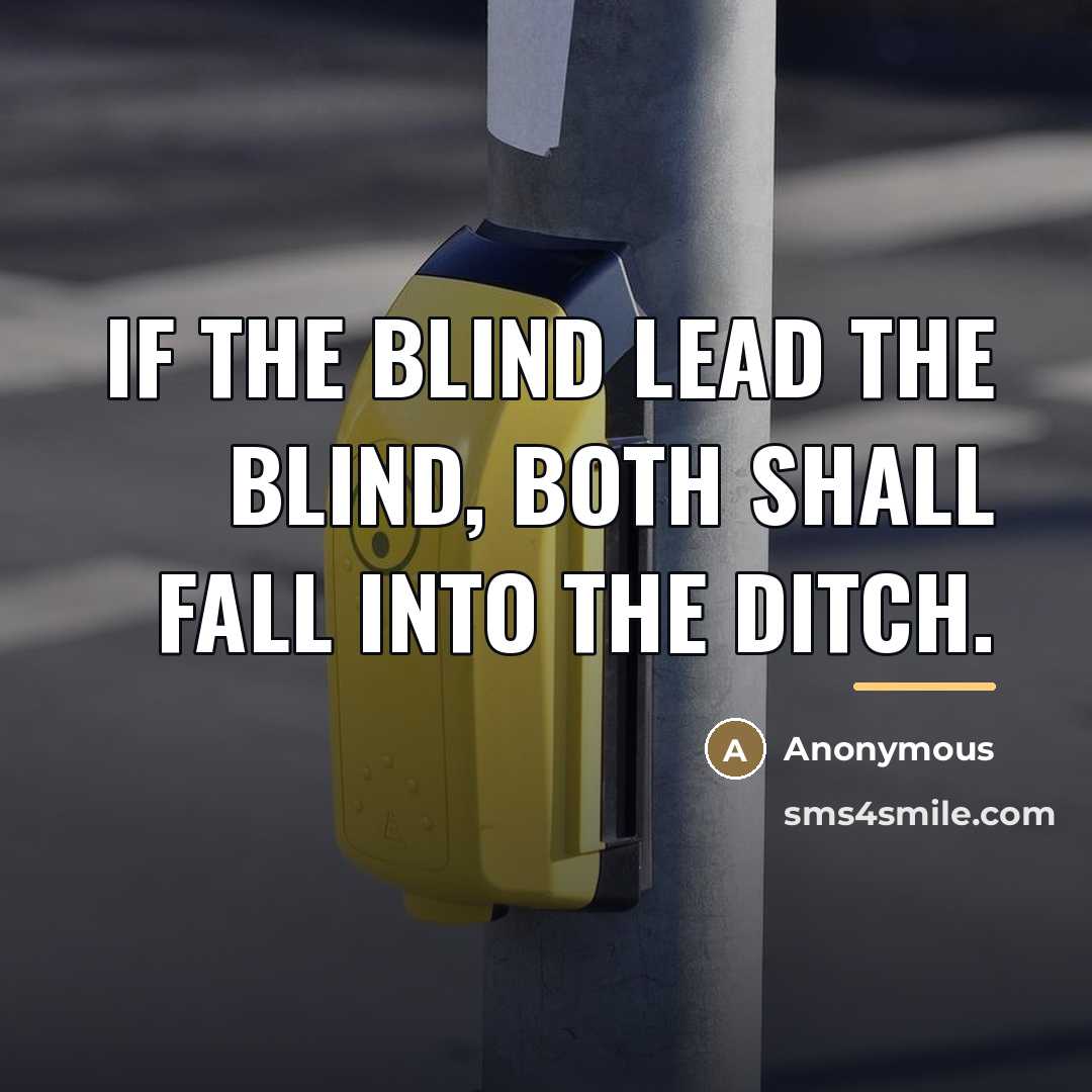 “If the blind lead the blind, both shall fall into…” quote by Anonymous