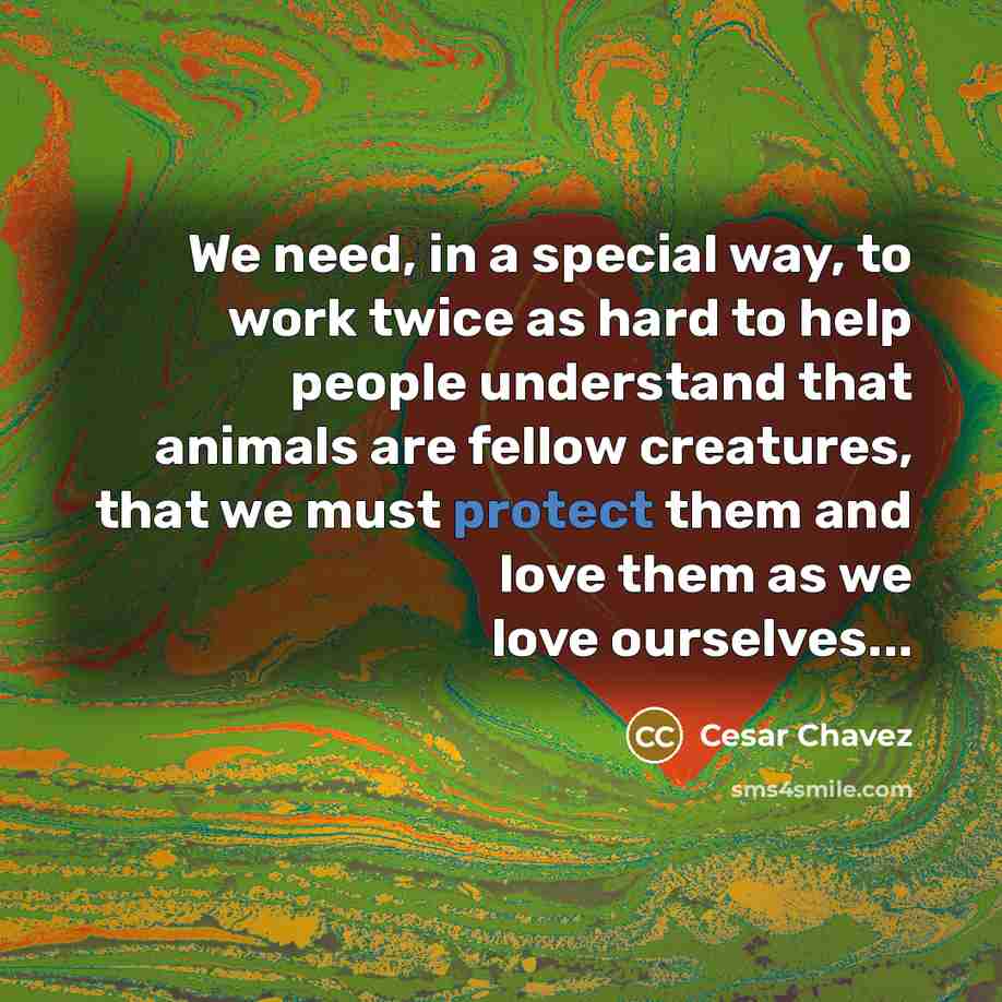 “We need, in a special way, to work twice as…” quote by Cesar Chavez