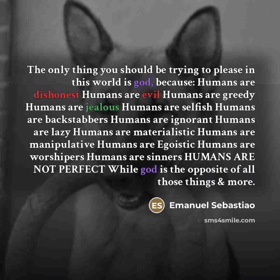 “The only thing you should be trying to please in…” quote by Emanuel Sebastiao