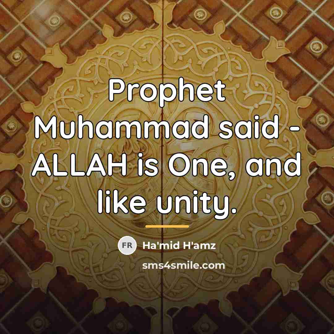 “Prophet Muhammad said - ALLAH is One, and like unity.…” quote by Ha'mid H'amz