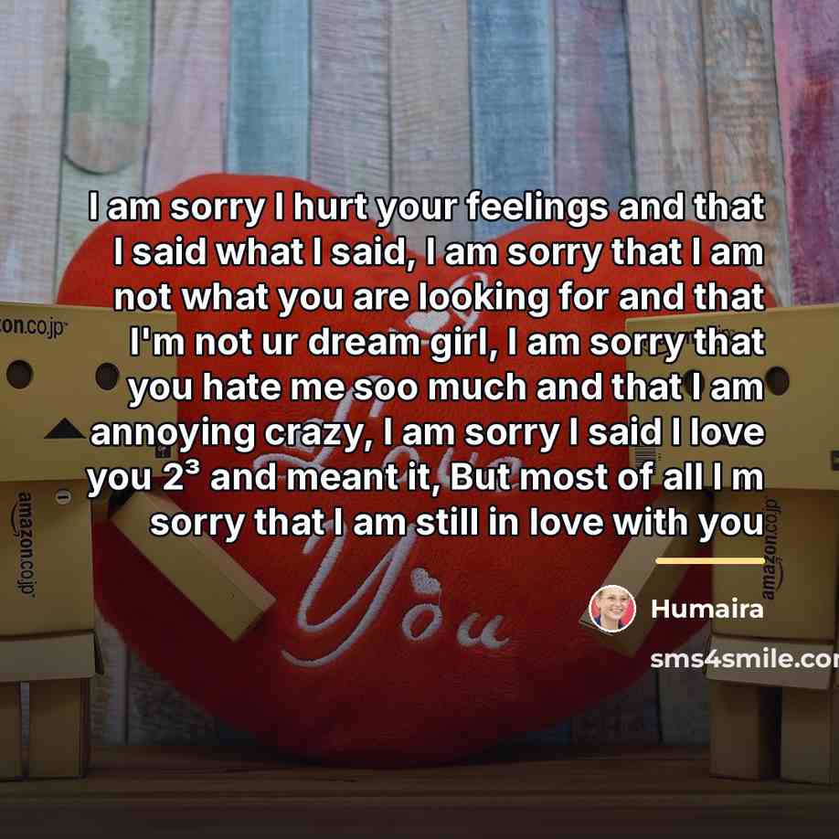 “I am sorry I hurt your feelings and that I…” quote by Humaira