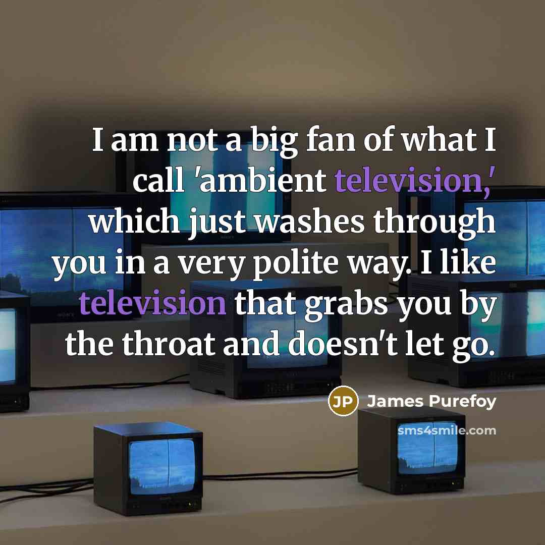 “I am not a big fan of what I call 'ambient television,' which just washes through you in a very polite way. I like television that grabs you by the throat and doesn't let go.” quote by James Purefoy