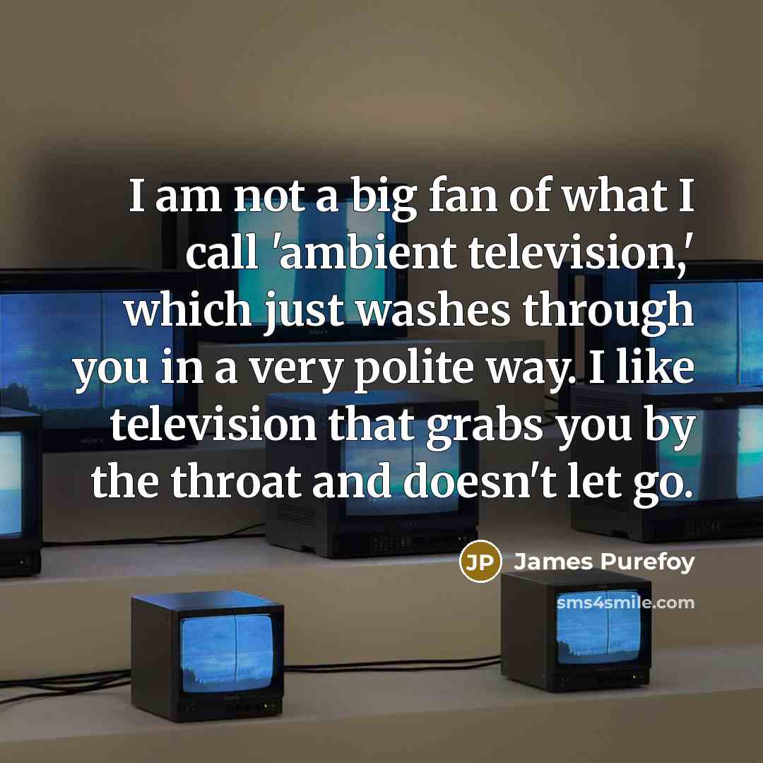 “I am not a big fan of what I call…” quote by James Purefoy