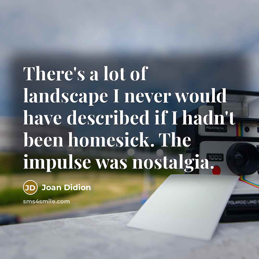 “There's a lot of landscape I never would have described…” quote by Joan Didion