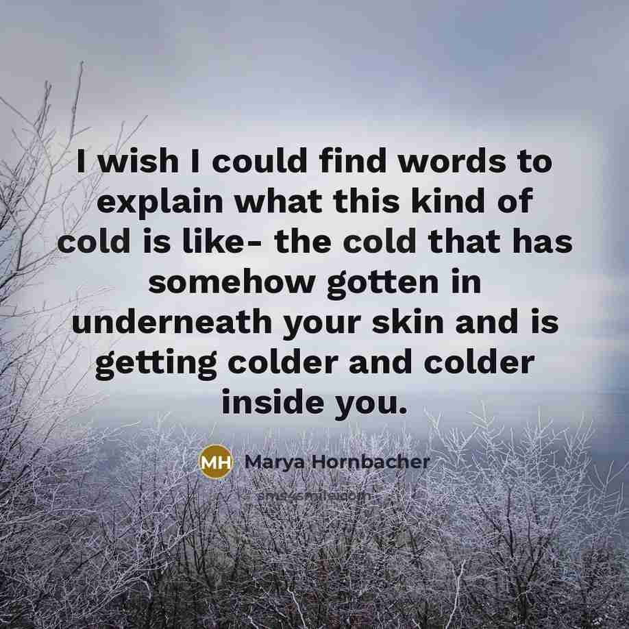 “I wish I could find words to explain what this…” quote by Marya Hornbacher