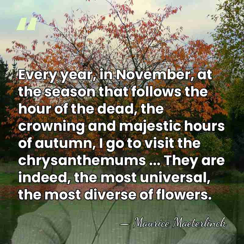 Every year, in November, at the season that follows the hour of&hellip; - Maurice Maeterlinck