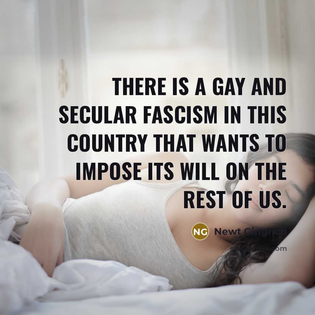 “There is a gay and secular fascism in this country…” quote by Newt Gingrich