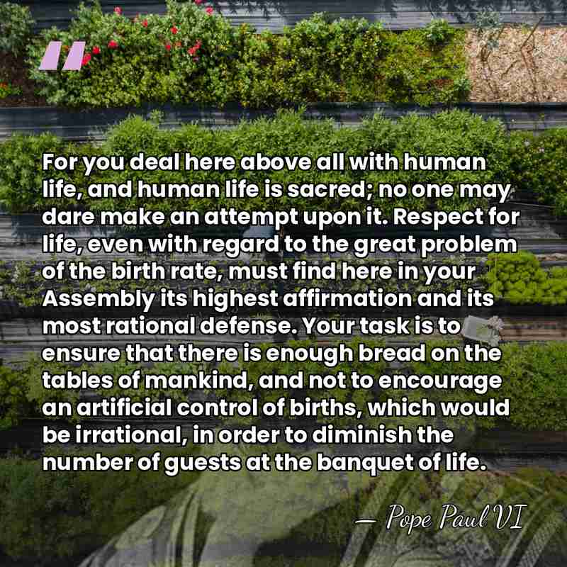For you deal here above all with human life, and human life&hellip; - Pope Paul VI