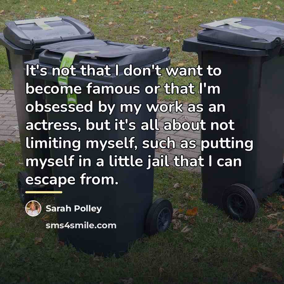 “It's not that I don't want to become famous or…” quote by Sarah Polley