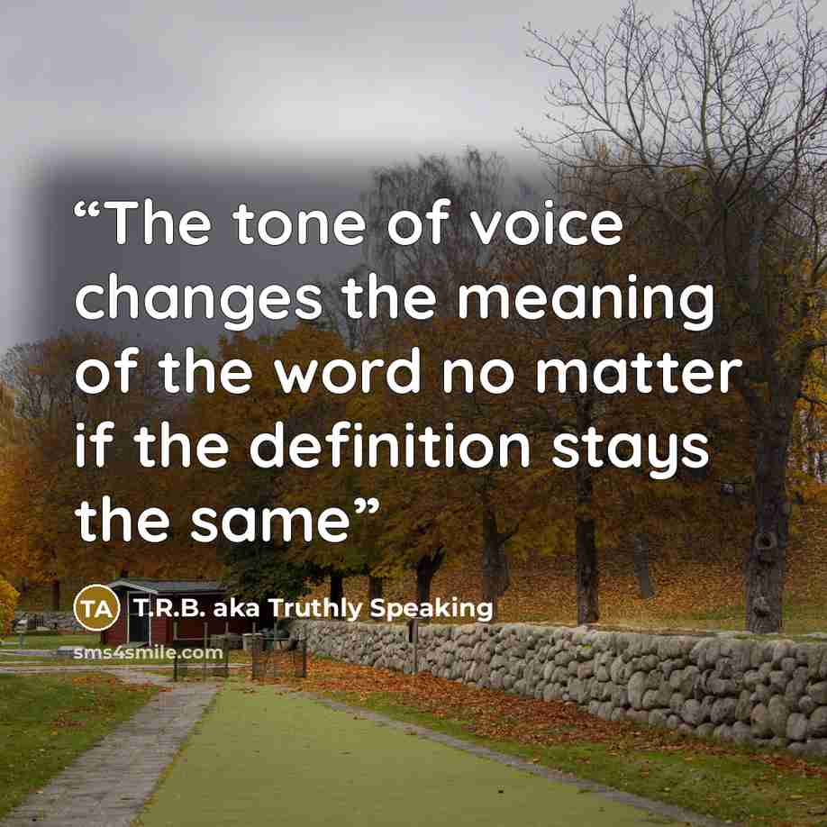 “The tone of voice changes the meaning of the word no matter if the definition stays the same” quote by T.R.B. aka Truthly Speaking