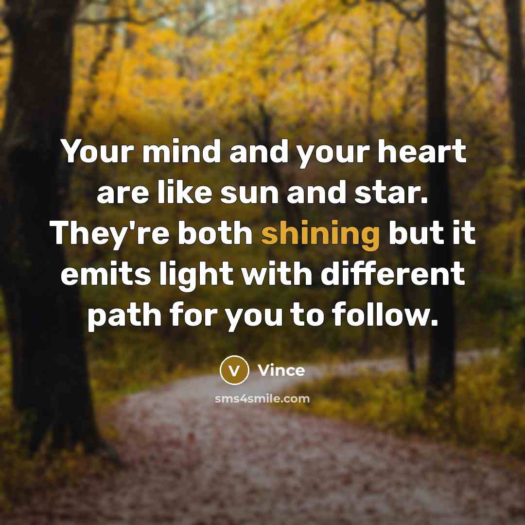 “Your mind and your heart are like sun and star.…” quote by Vince